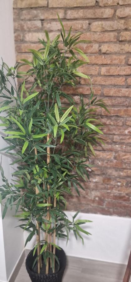 Barcelona,Apartamento Con Terraza Apartment โอสปิตาเล็ต เดอ โยเบรกัต ภายนอก รูปภาพ